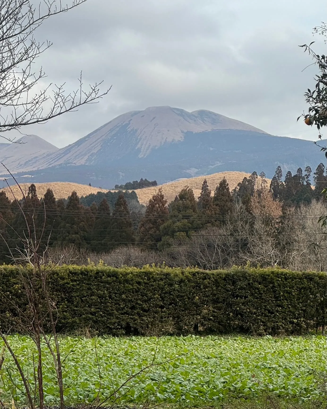 本日もたくさん回収させて頂き有難う御座いました🙇清掃班は阿蘇...
