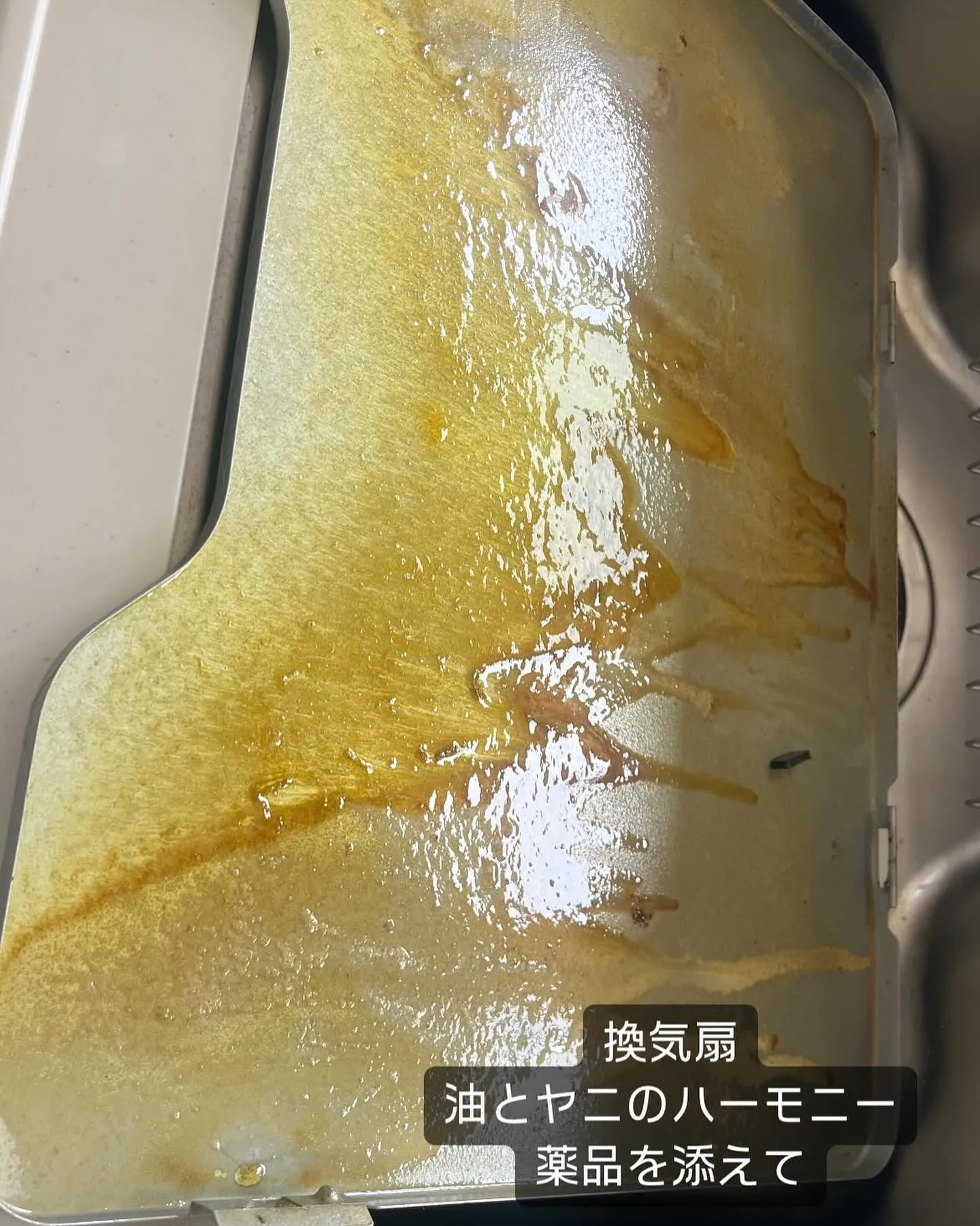 #ハウスクリーニング