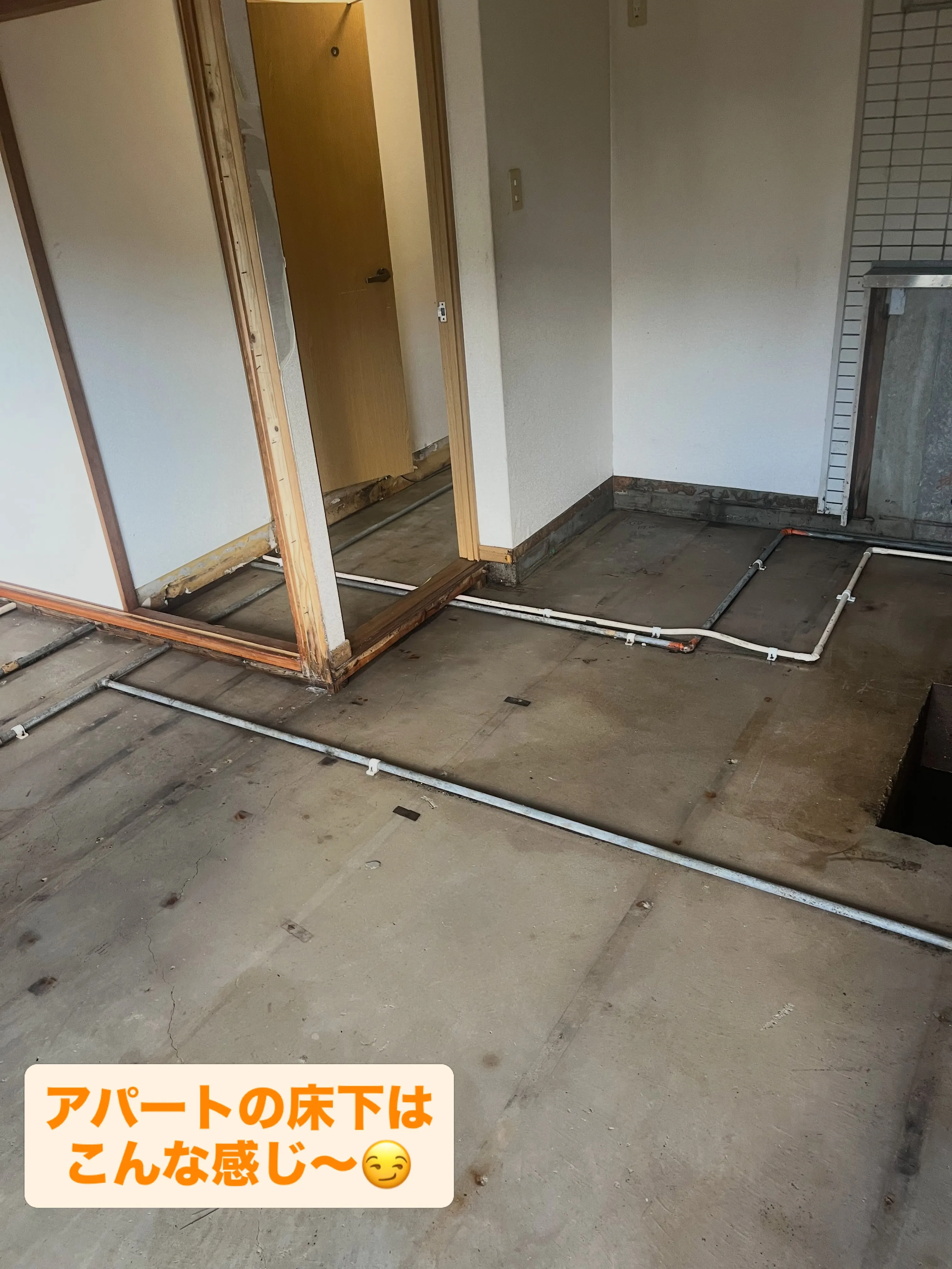 本日は先日、全解体撤去した現場の床洗浄、消毒を行いました✨