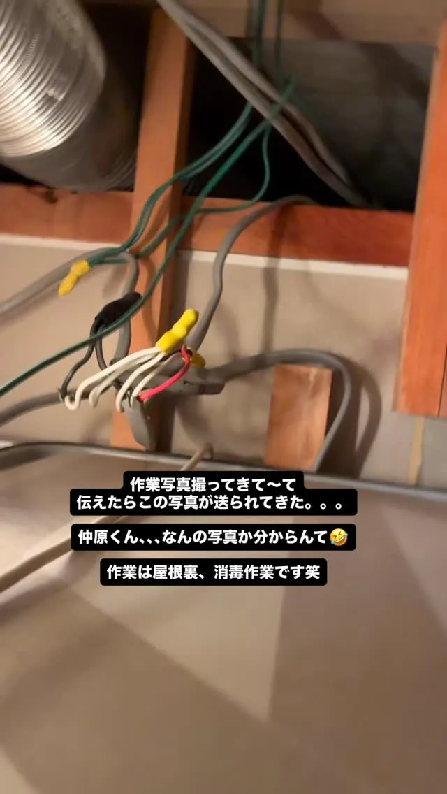 #不用品回収 #熊本 #現状回復 #屋根裏#inaga